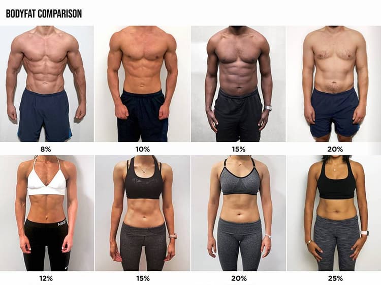 A body composition analysis screen with a human figure highlighting different body parts and their fat/muscle composition.